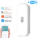 Розумний датчик температури та вологості Tuya smart WiFi Білий (sv3433)