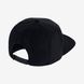 Кепка Jordan Pro Jumpman Snapback One size (AR2118-013)