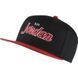 Кепка Jordan Pro Script Cap One size (AV8448-010)