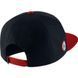 Кепка Jordan Pro Script Cap One size (AV8448-010)