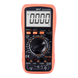 Мультиметр 9801A+ True RMS 1999 Digital (sv2468)