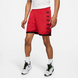 Шорты Jordan Jumpman Knit Shorts L CZ4760-687