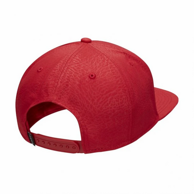 Кепка Jordan Pro Ele Ingot Cap One size (DC3680-687-d)