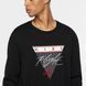 Лонгслів Jordan Flight Long-Sleeve T-Shirt S CZ1215-010