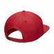 Кепка Jordan Pro Ele Ingot Cap One size (DC3680-687-d)