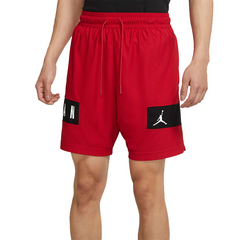 Шорти Jordan Dri-Fit Air Mesh Graphic Shorts L CZ4771-687