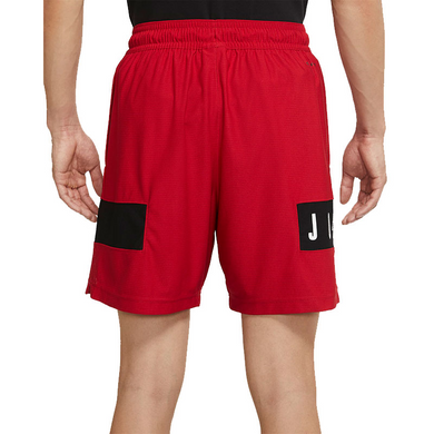 Шорти Jordan Dri-Fit Air Mesh Graphic Shorts L CZ4771-687
