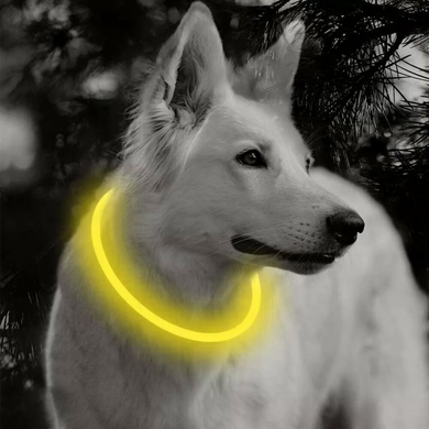 Світлодіодний LED нашийник для собак із зарядкою USB 50 см., Жовтий (sv2146yl)
