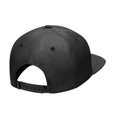 Кепка Jordan Pro Ele Ingot Cap One size (DC3680-010-d)